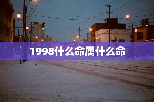 1998什么命属什么命