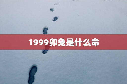 1999卯兔是什么命