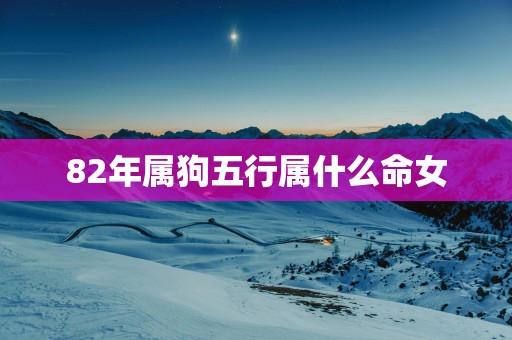 82年属狗五行属什么命女