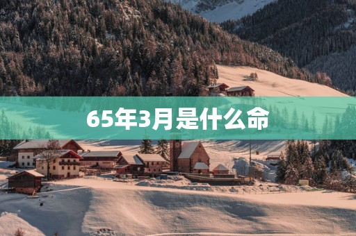 65年3月是什么命