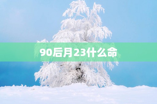 90后月23什么命