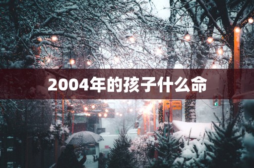 2004年的孩子什么命