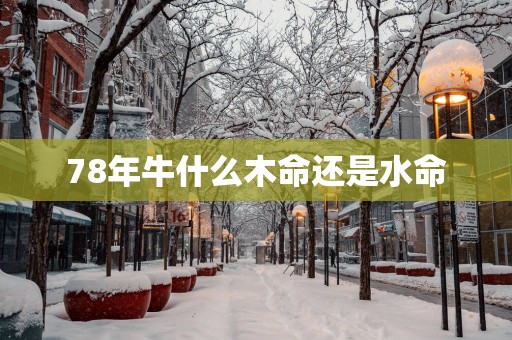 78年牛什么木命还是水命