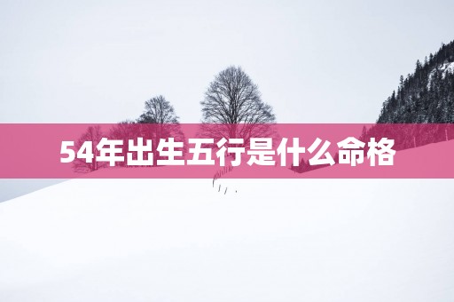 54年出生五行是什么命格