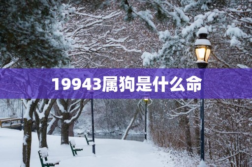 19943属狗是什么命