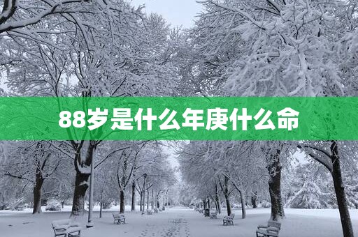 88岁是什么年庚什么命