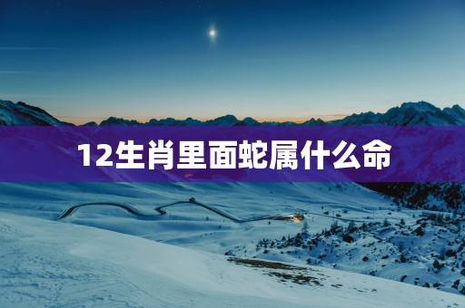 12生肖里面蛇属什么命