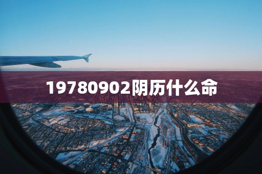 19780902阴历什么命