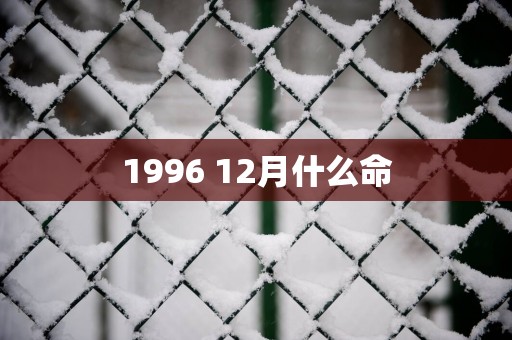 1996 12月什么命
