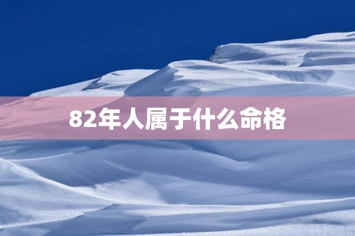 82年人属于什么命格