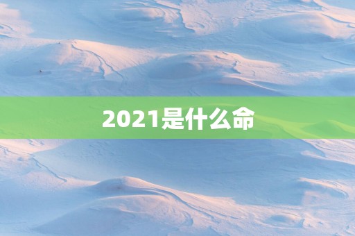 2025是什么命