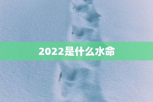 2025是什么水命