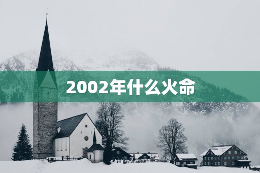 2002年什么火命