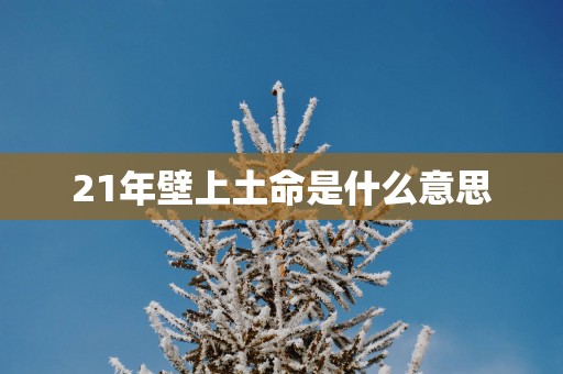 21年壁上土命是什么意思
