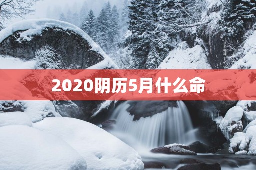 2025阴历5月什么命