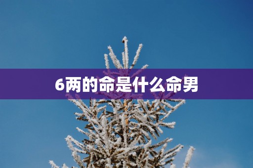 6两的命是什么命男