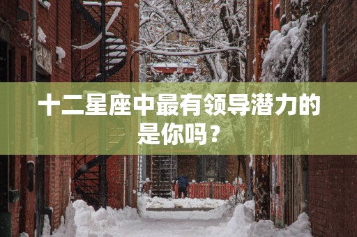 十二星座中最有领导潜力的是你吗？