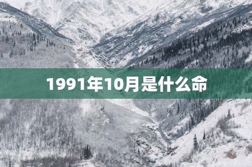1991年10月是什么命