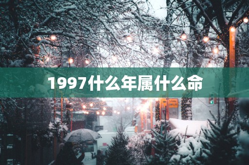 1997什么年属什么命