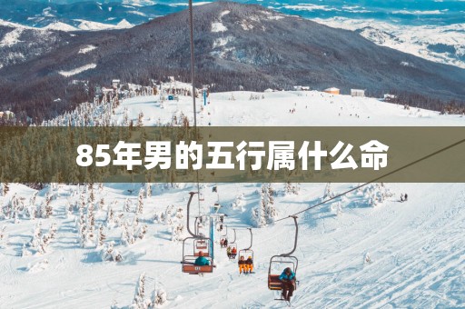 85年男的五行属什么命