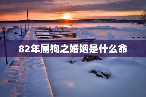 82年属狗之婚姻是什么命