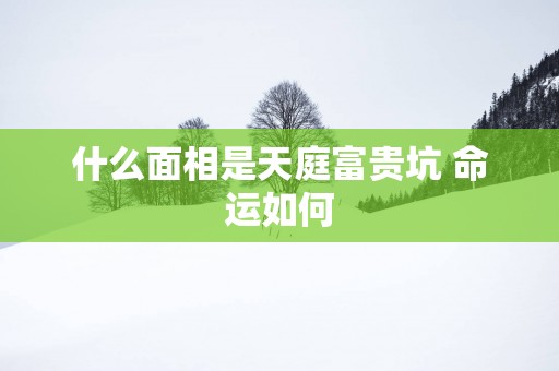 什么面相是天庭富贵坑 命运如何