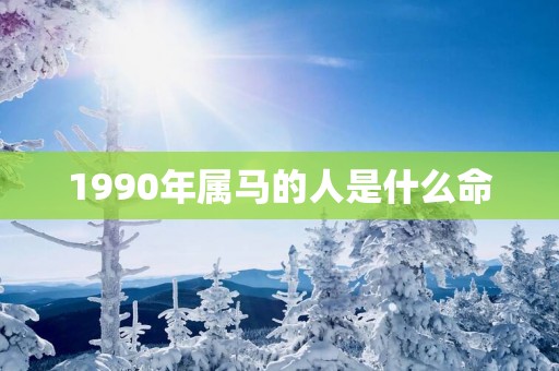 1990年属马的人是什么命