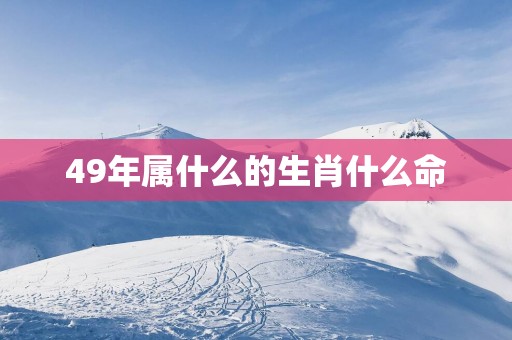 49年属什么的生肖什么命