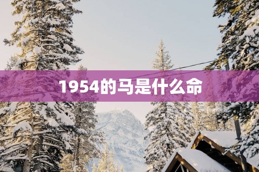 1954的马是什么命