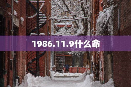 1986.11.9什么命