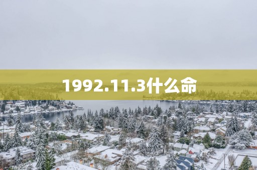 1992.11.3什么命