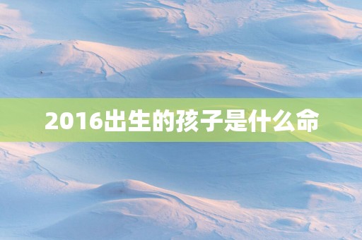 2016出生的孩子是什么命