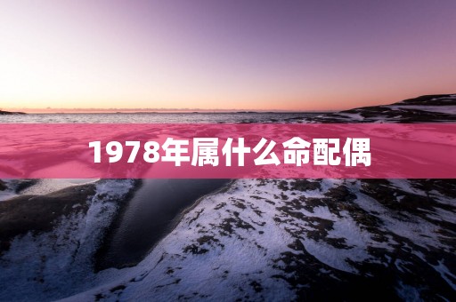 1978年属什么命配偶