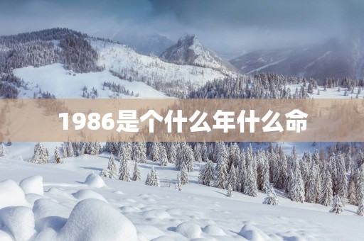 1986是个什么年什么命