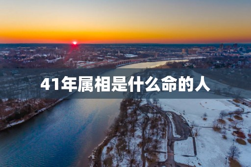 41年属相是什么命的人