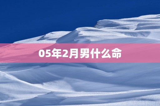 05年2月男什么命