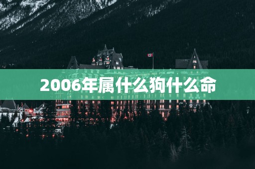 2006年属什么狗什么命