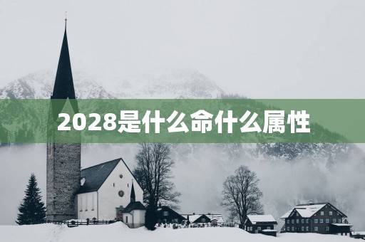 2028是什么命什么属性