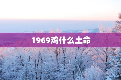 1969鸡什么土命