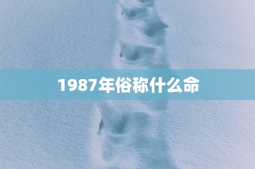 1987年俗称什么命