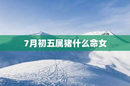 7月初五属猪什么命女