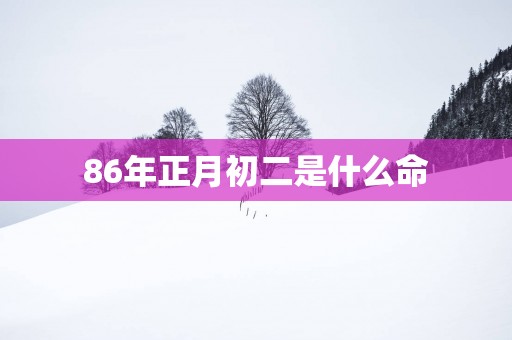 86年正月初二是什么命