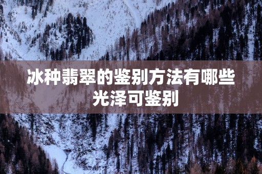 冰种翡翠的鉴别方法有哪些  光泽可鉴别