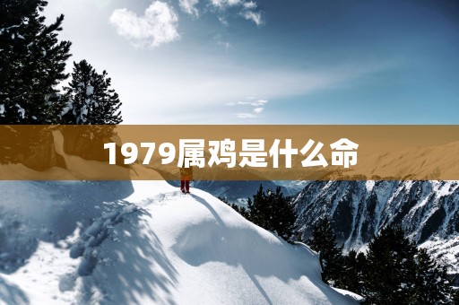 1979属鸡是什么命