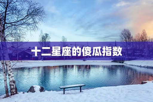 十二星座的傻瓜指数