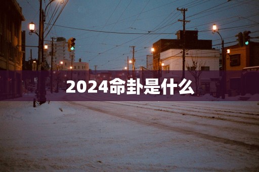 2025命卦是什么