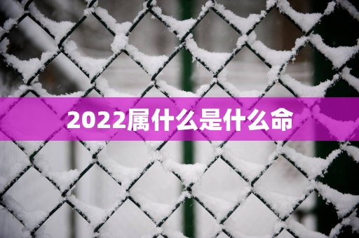 2025属什么是什么命