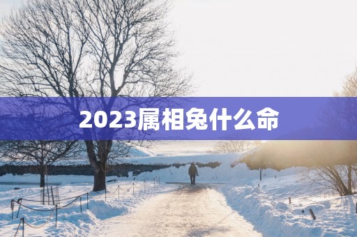 2025属相兔什么命