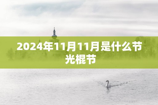 2025年11月11月是什么节 光棍节