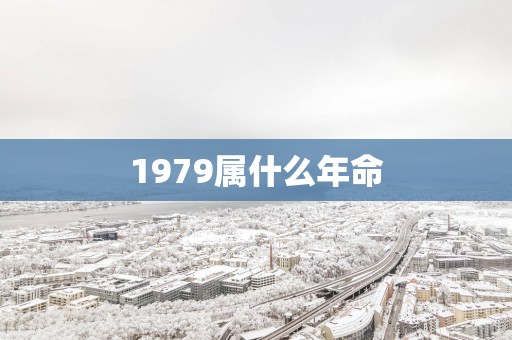 1979属什么年命